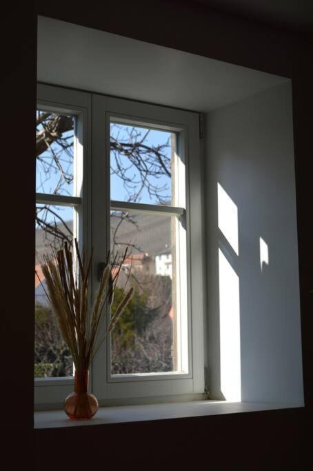 La Douce Escale Apartment Turckheim Luaran gambar