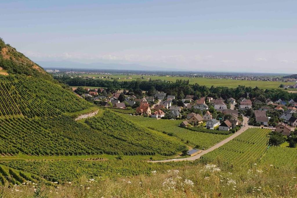 La Douce Escale Apartment Turckheim Luaran gambar